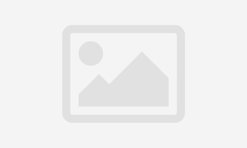 Complete Beginner to JavaScript Developer