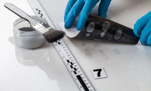 HTML Tutorial: HTML & CSS for Beginners